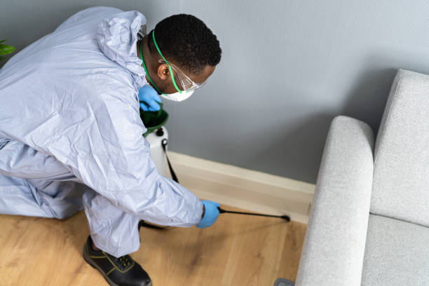 Best Pest Prevention Services  in Midland, TX